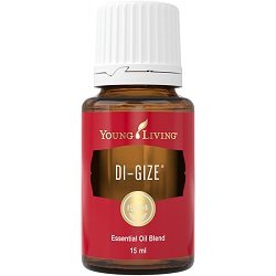 DiGize