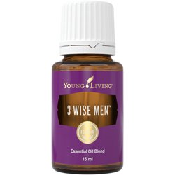 3 Wise Men (3 hombres sabios)