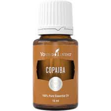 Copaiba (Copal) – Copaifera reticulata