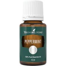 Peppermint (Menta)