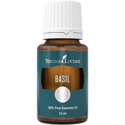 Basil (Albahaca)