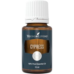 Cypress (Ciprés)