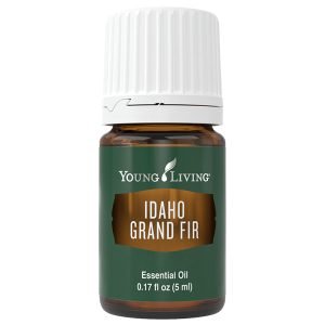 Idaho Grand Fir (Abeto de Vancouver)