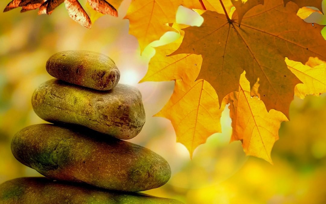 10 pautas para fortalecer y equilibrar nuestro medio interno