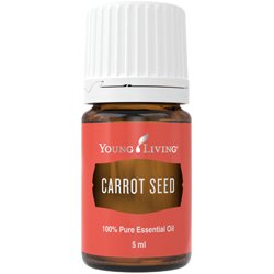 Carrot seed (Semilla de zanahoria)