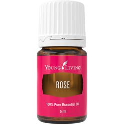 Rose (Rosa)