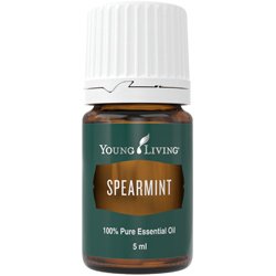 Spearmint (Hierbabuena)