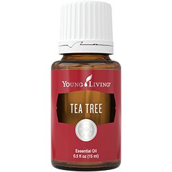 Tea Tree (Té de arbol)