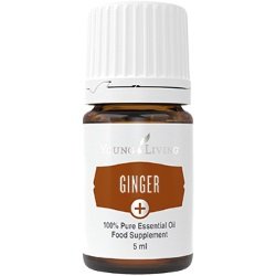 Ginger+ (Jengibre+)