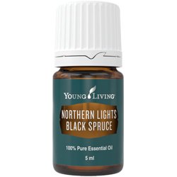 Northern Lights Black Spruce (Pícea negra de Northern Lights)