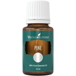 Pine (Pino)