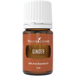 Ginger (Jengibre)