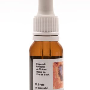 Brote de Castaño (Chesnut Bud)