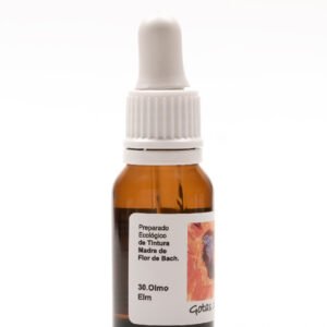 Olmo (ELM)