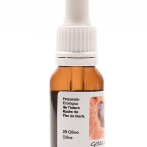 Olivo ( OLIVE )