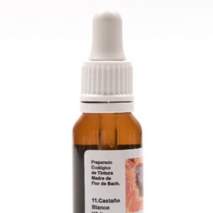 Castaño Blanco (WHITE CHESNUT)